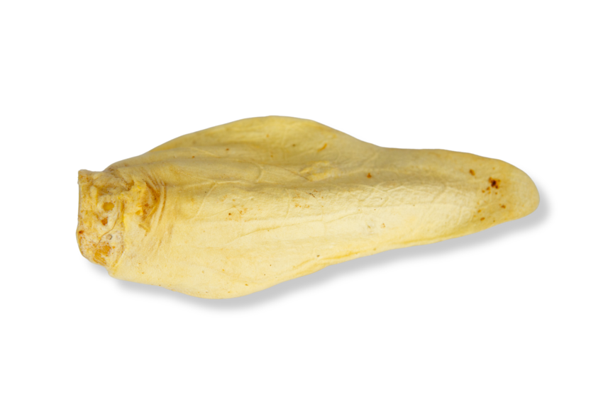 Orelha Bovina Branqueada