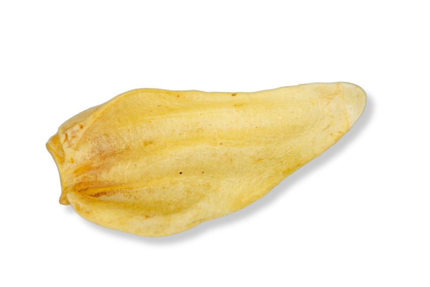 Orelha Bovina Branqueada