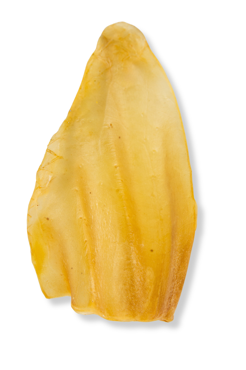 Orelha Bovina Natural